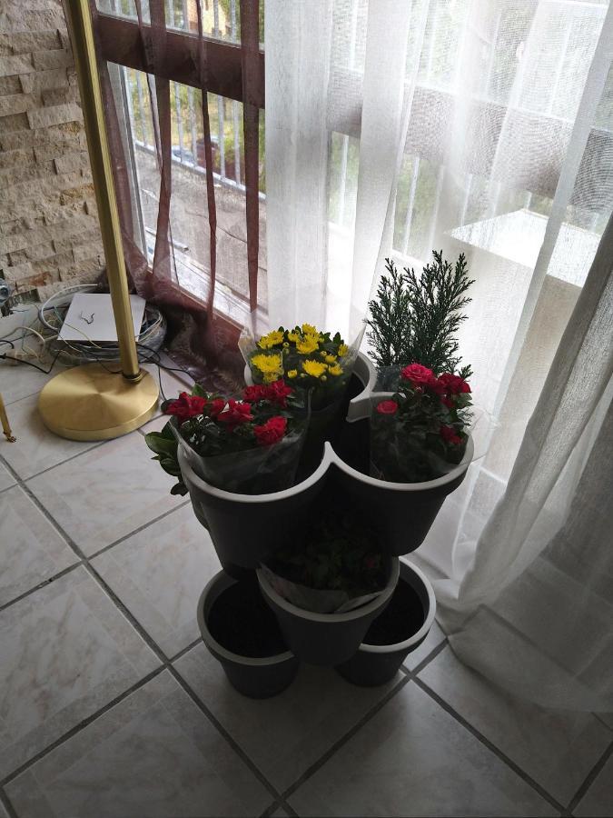 Mon Nid D'or France Apartment Joigny
